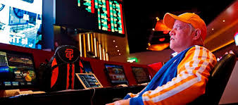 Официальный сайт Bollywood Casino